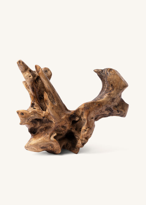 THE FOREST RELIC