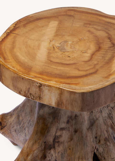 THE FOREST COFFEE TABLE