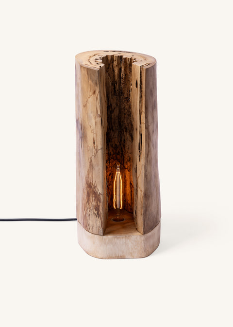 THE ARTISAN FLOOR LIGHT - SPECIAL BULB