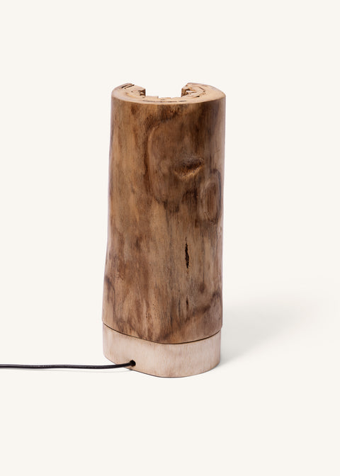 THE ARTISAN FLOOR LIGHT - SPECIAL BULB