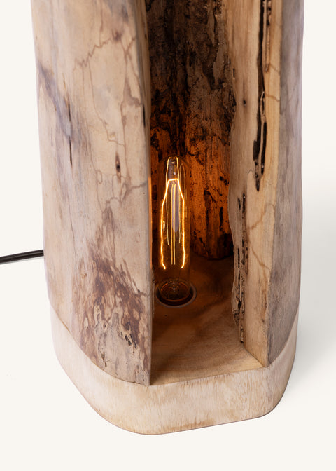 THE ARTISAN FLOOR LIGHT - SPECIAL BULB