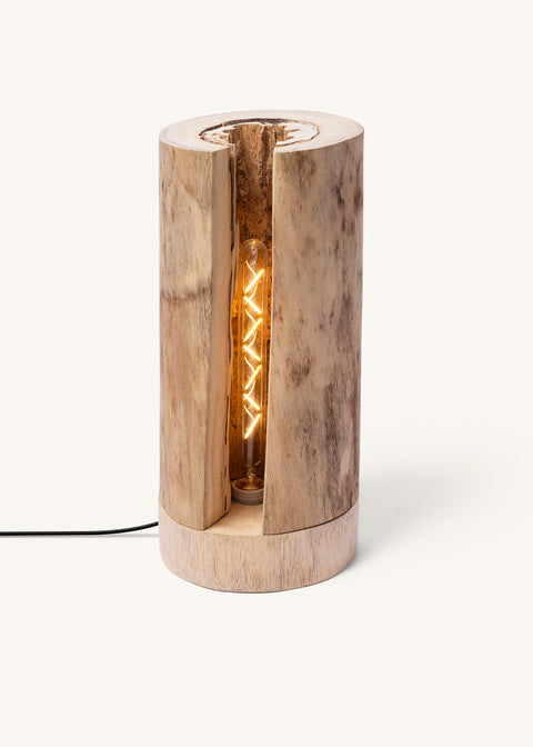 THE ARTISAN FLOOR LIGHT - SPECIAL BULB