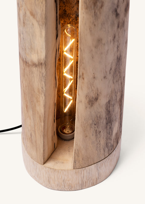 THE ARTISAN FLOOR LIGHT - SPECIAL BULB