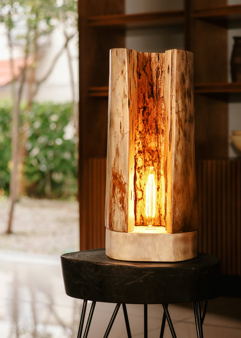 THE ARTISAN FLOOR LIGHT - SPECIAL BULB